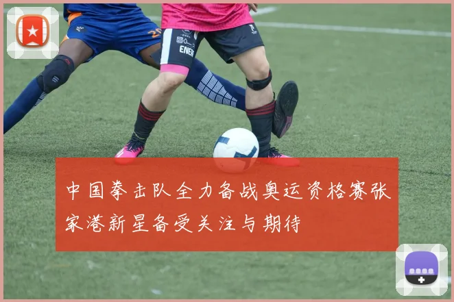 中国拳击队全力备战奥运资格赛张家港新星备受关注与期待